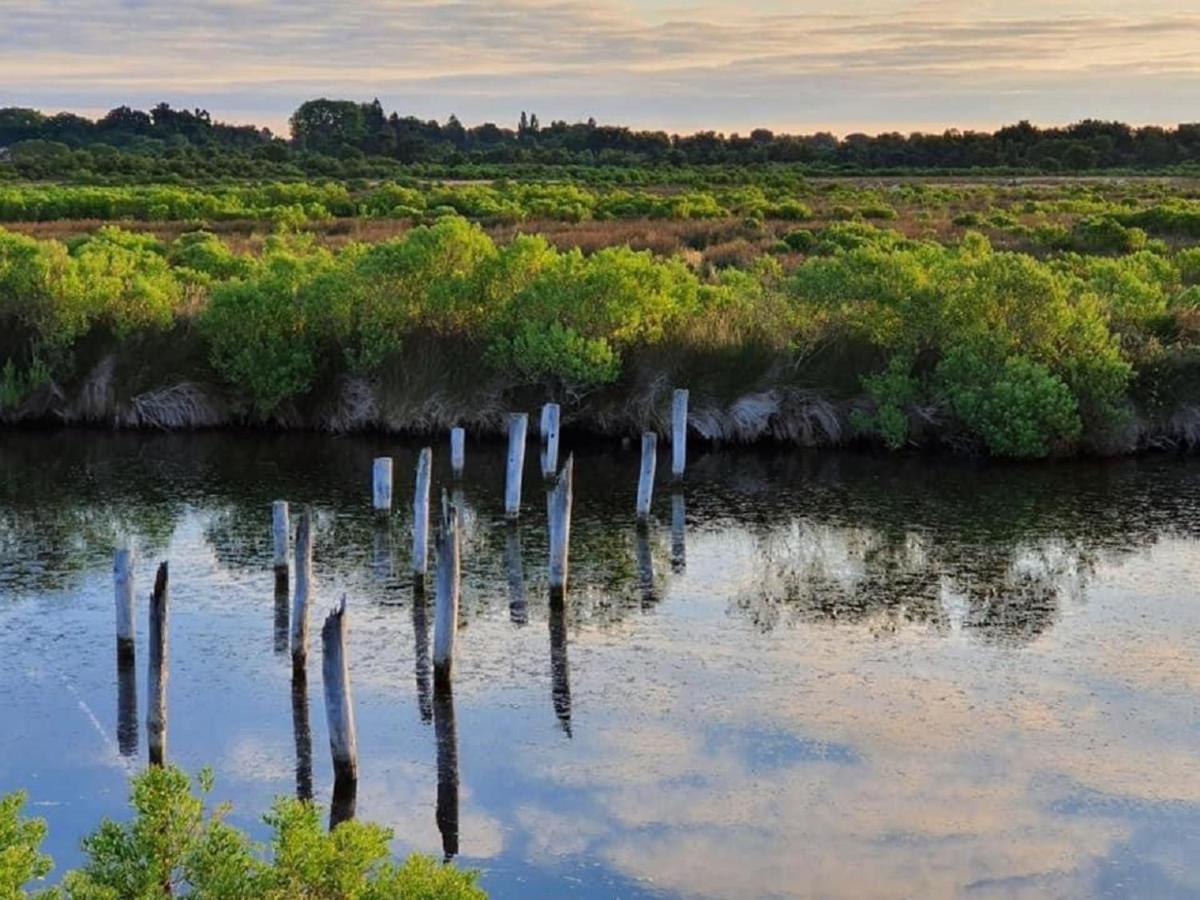 Au coeur du Bassin d'Arcachon,très bel appartement avec terrasse Audenge Esterno foto
